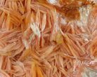 Pink-Orange Bladed Barite on Matrix - Morocco #51461-1